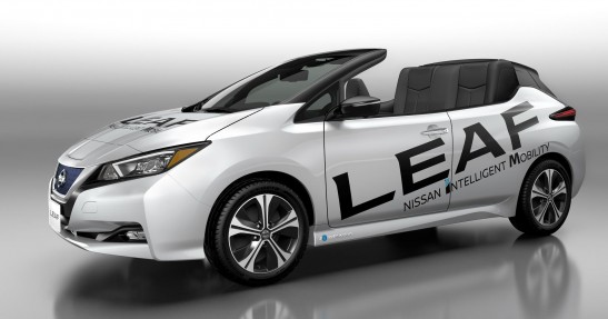 Nissan Leaf Open Car