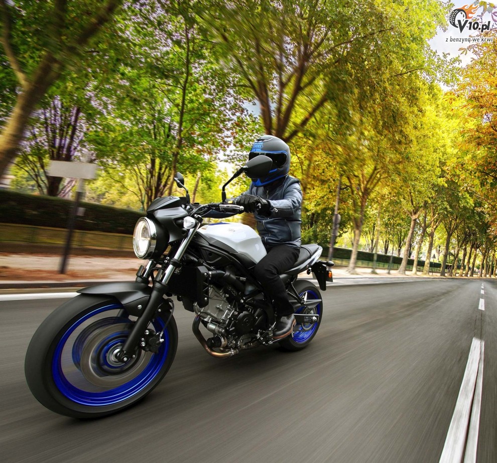 Suzuki SV650 na 2016 rok