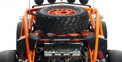 Ariel Nomad