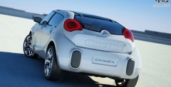 Citroen C-CACTUS