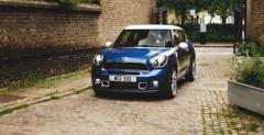 Mini Paceman