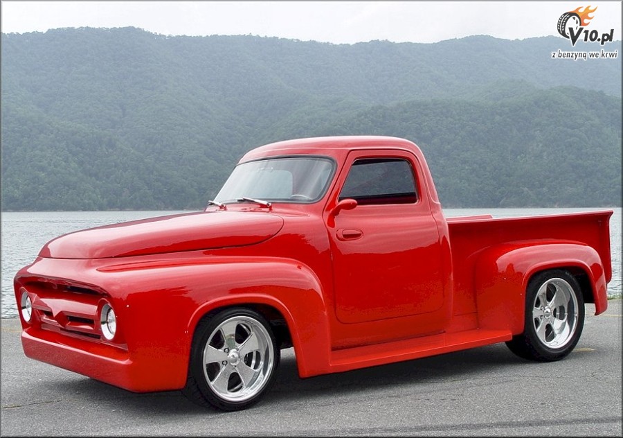 1955 Ford f100 for sale florida #8