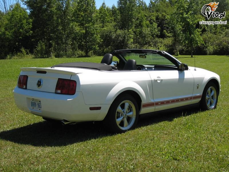 Ford mustang a vendre usag #9