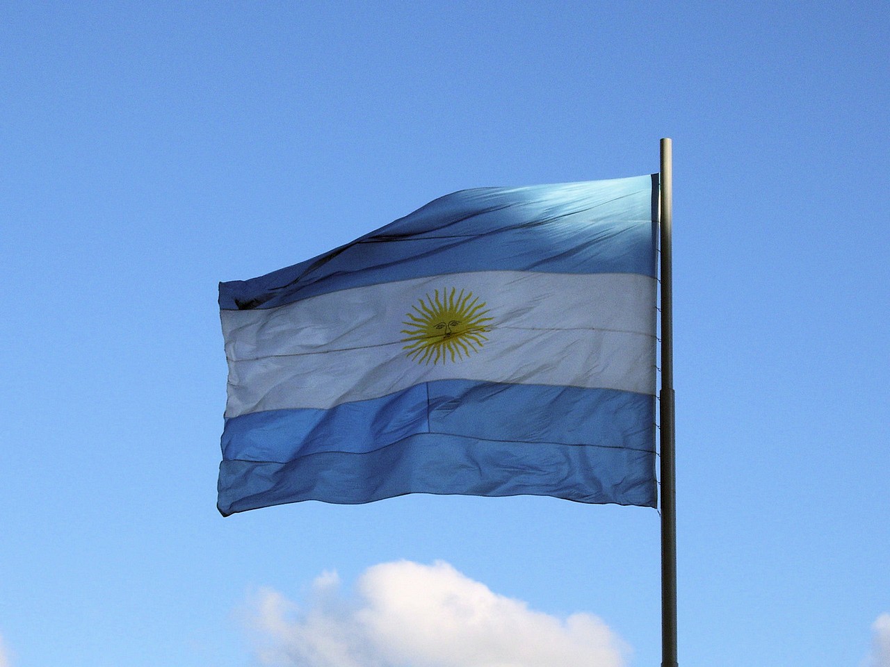 argentyna flaga