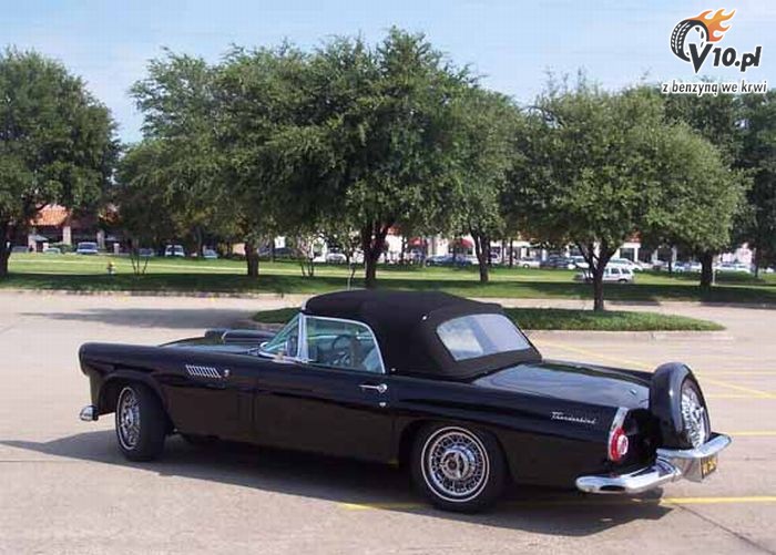 Ford thunderbird mafia #8