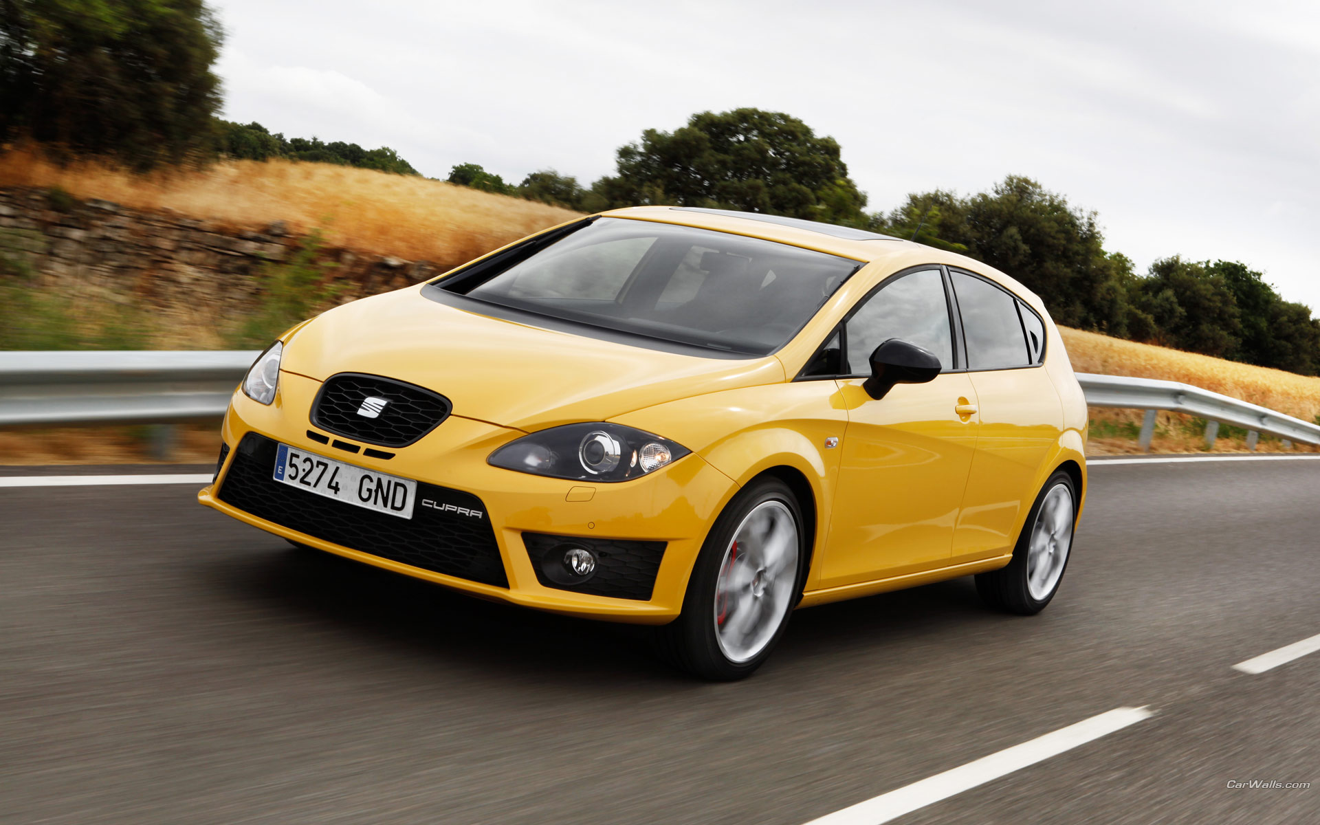 Автомобиль leon. Seat Leon 2010. Seat Altea Cupra. Seat Leon Cupra r 2010. Seat Cupra gt.