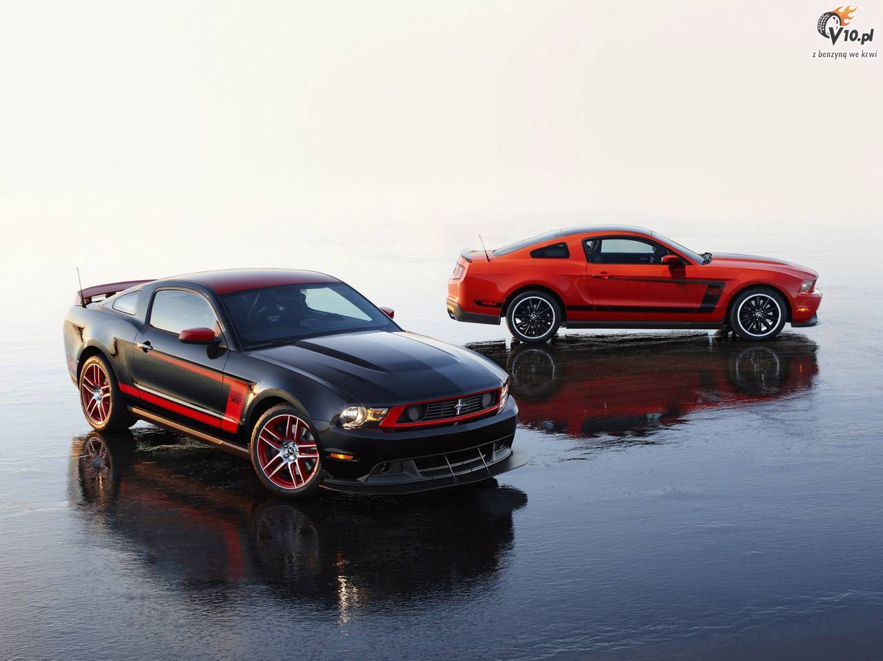 Mustang Boss 302
