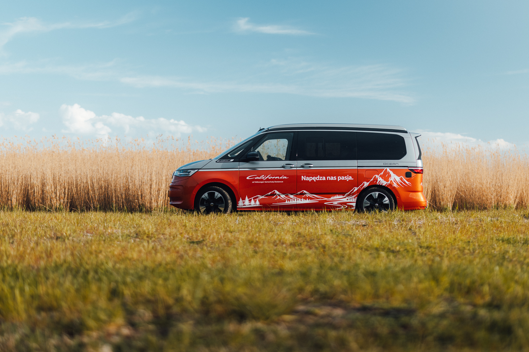Kamper Volkswagen California (fot. Filip Blank)