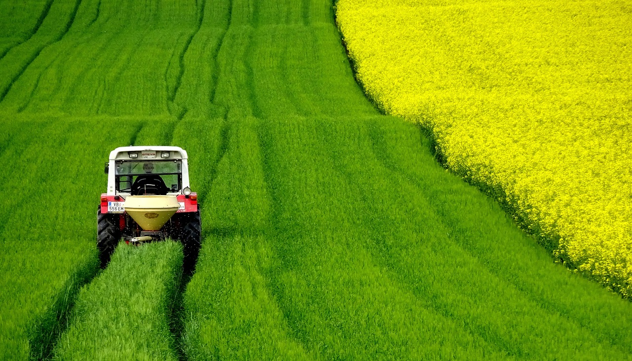 Traktor przedzierający się przez pole (fot. wurliburli / Pixabay)