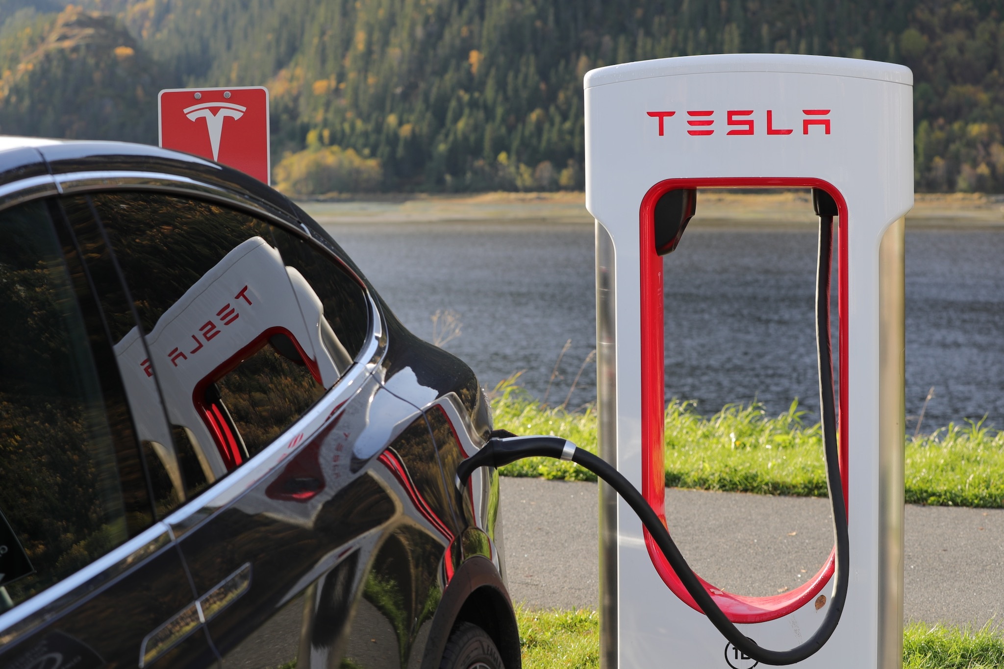 Tesla Model X (fot. Blomst / Pixabay)